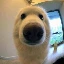 BOOP图标